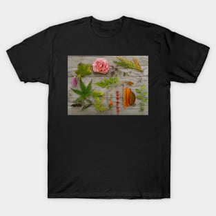 All the things of fall. T-Shirt